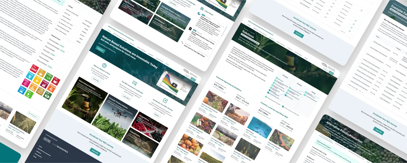 Screens from the Capital for Climate product