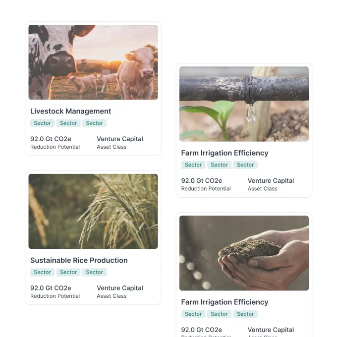 Capital for Climate web platform built by IT Crowd